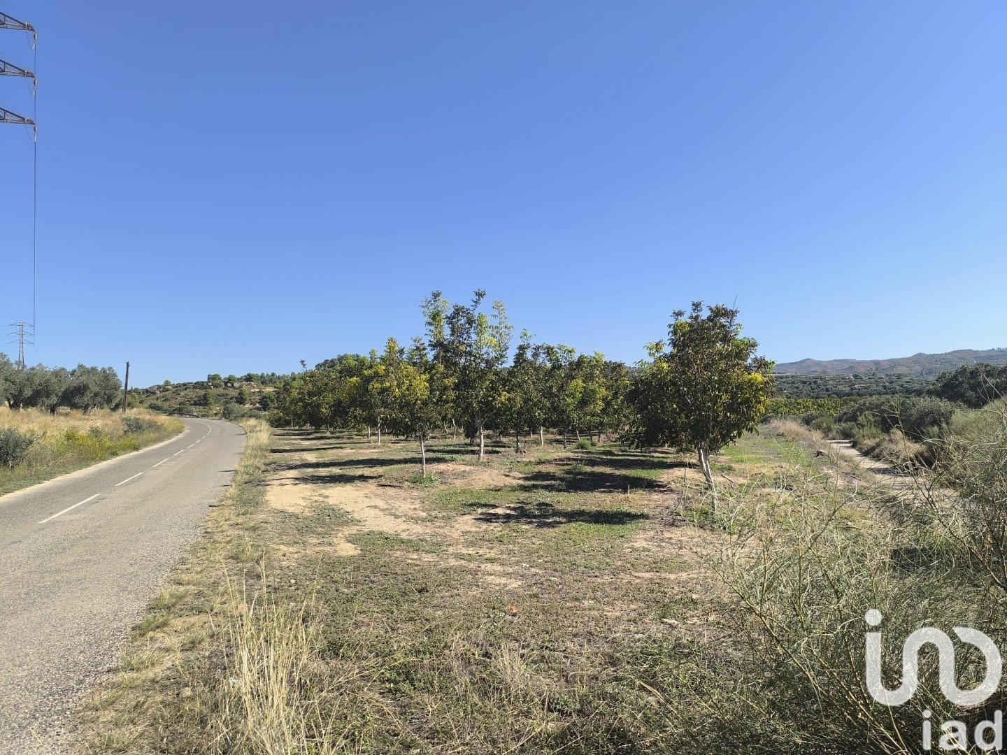 Land plot in Flix, Tarragona, Spain 220000 sq.m. No. 152994