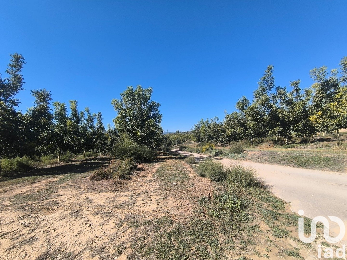 Land plot in Flix, Tarragona, Spain 220000 sq.m. No. 152994