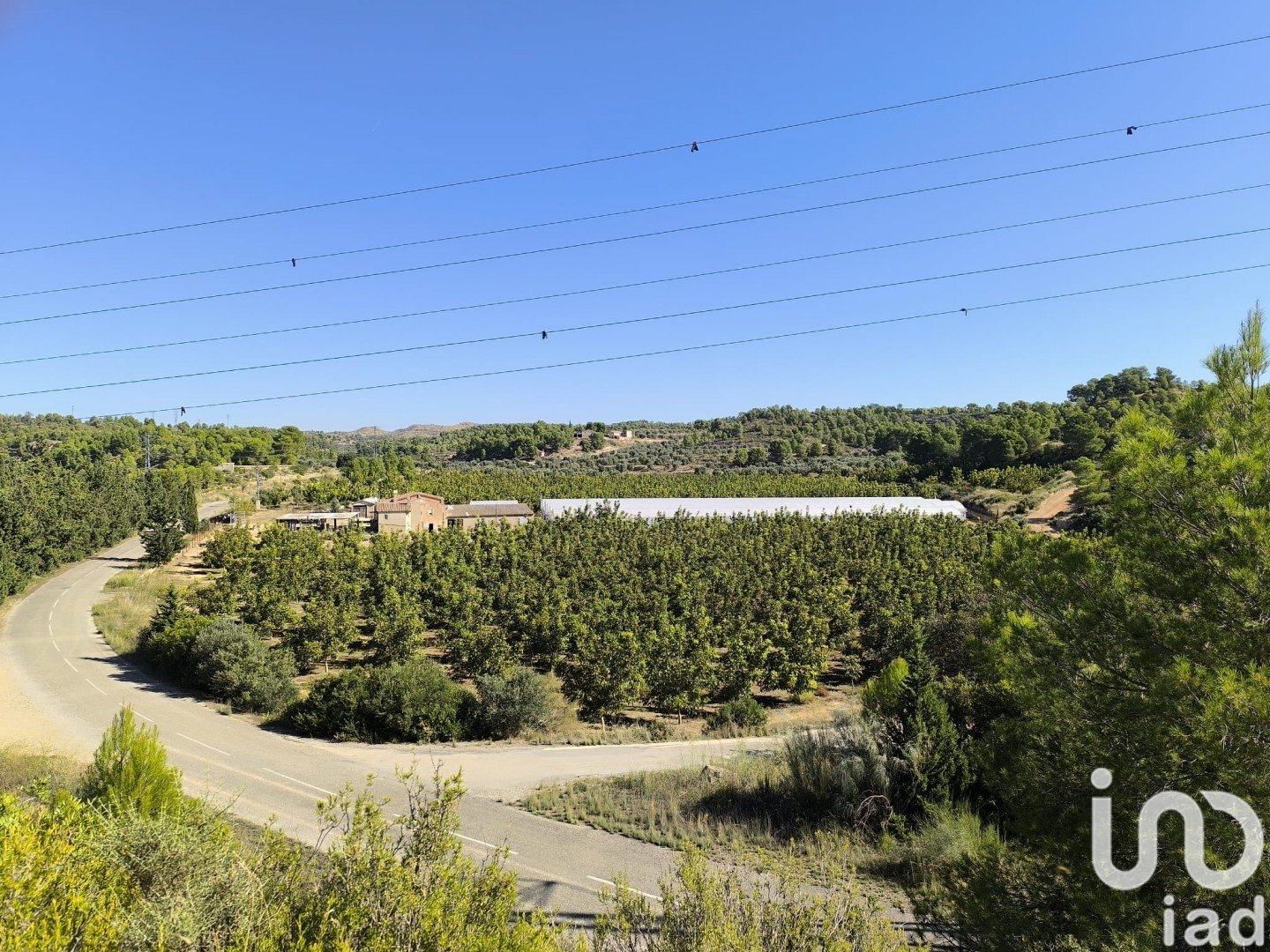 Land plot in Flix, Tarragona, Spain 220000 sq.m. No. 152994