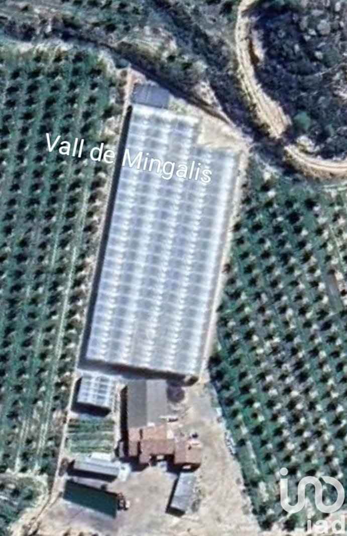Land plot in Flix, Tarragona, Spain 220000 sq.m. No. 152994