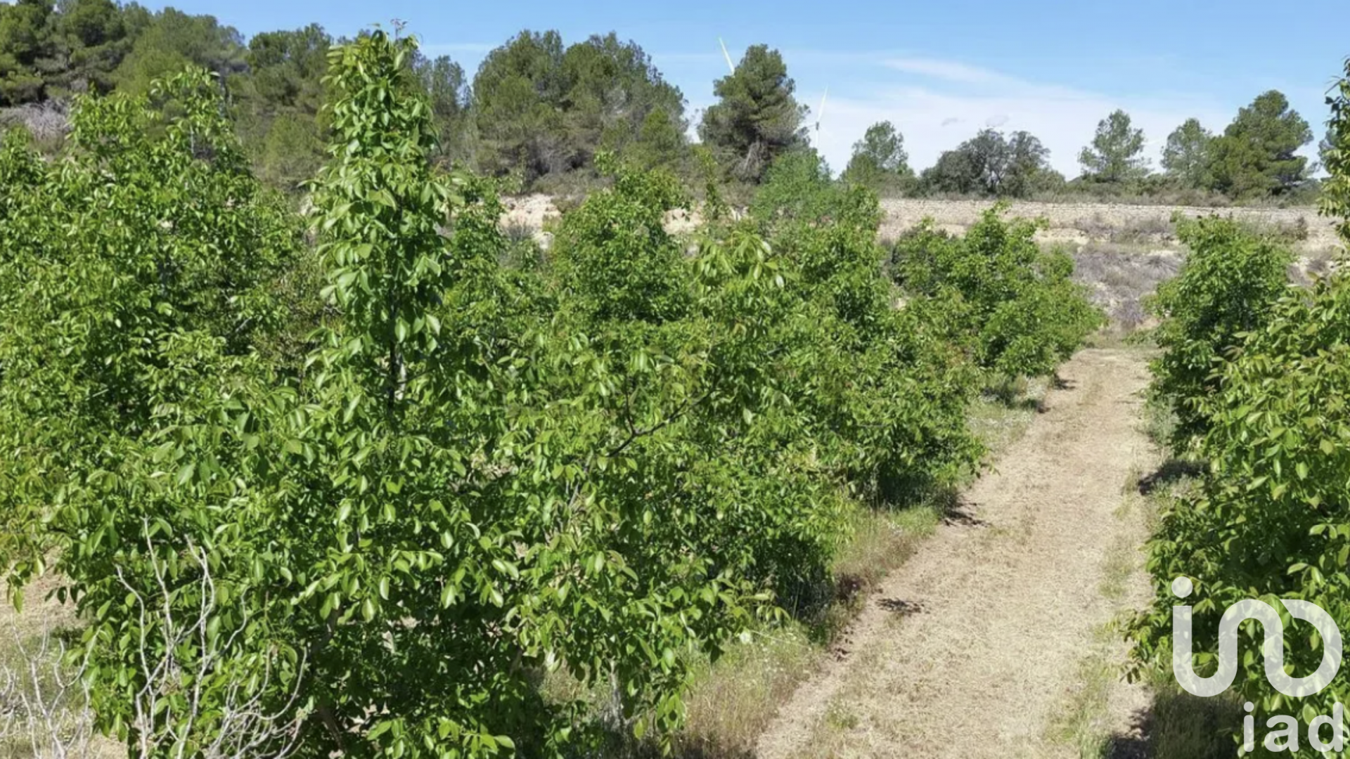 Kommersiell fastighet i Gandesa, Tarragona, Spanien Nr. 152996