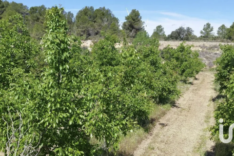Komerciāls īpašums Gandesa, Tarragona, Spānijā Nr. 152996