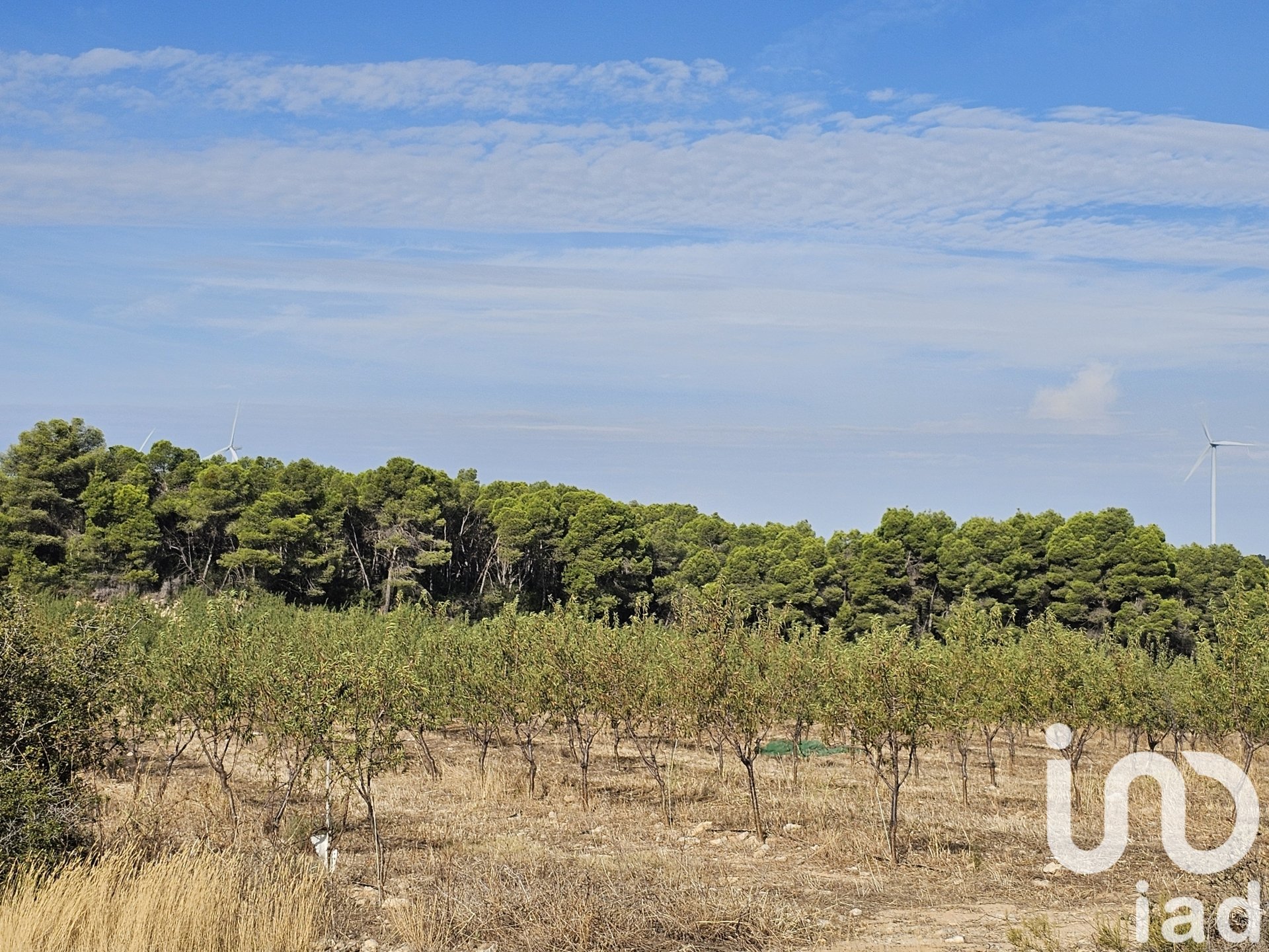 Kommersiell fastighet i Gandesa, Tarragona, Spanien Nr. 152996