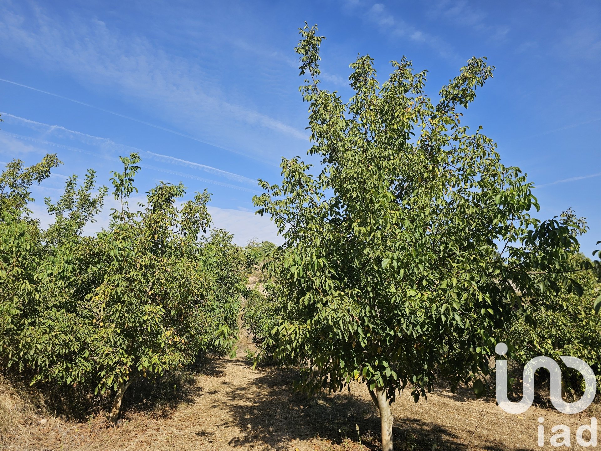 Kommersiell fastighet i Gandesa, Tarragona, Spanien Nr. 152996