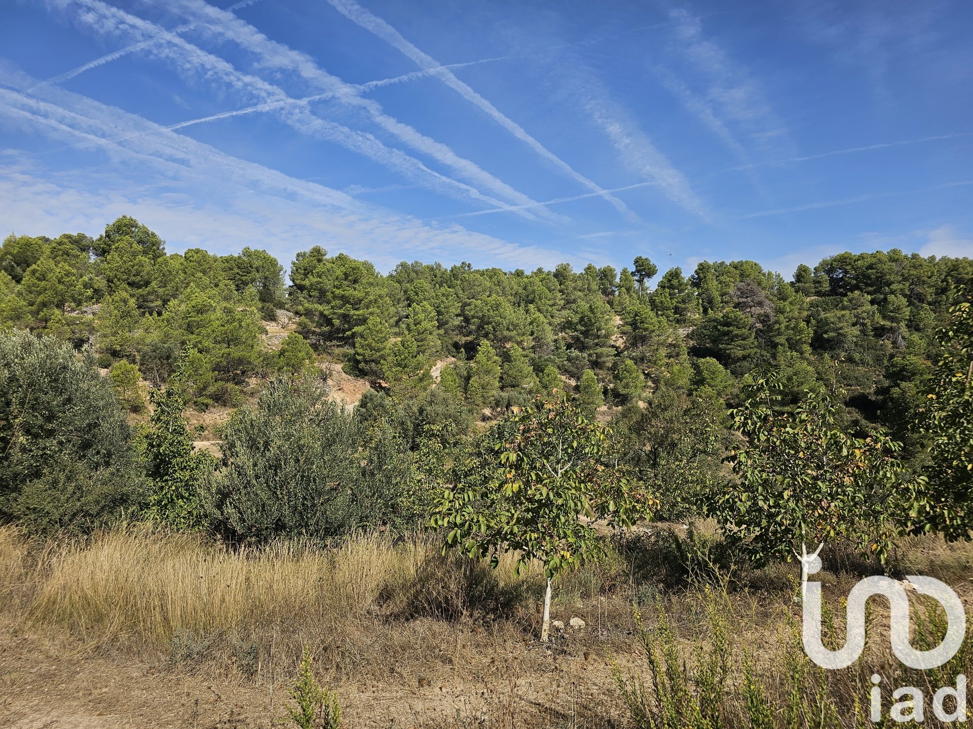 Kommersiell fastighet i Gandesa, Tarragona, Spanien Nr. 152996