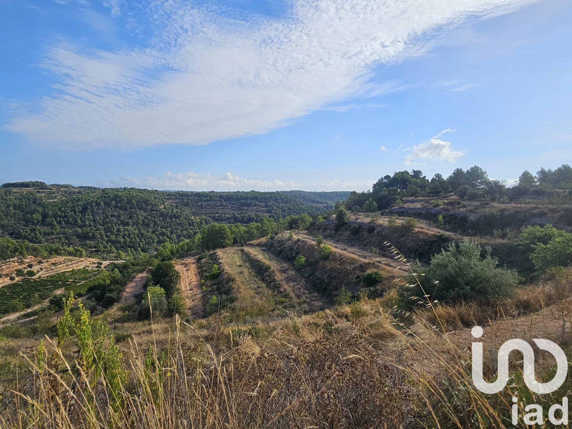 Kommersiell fastighet i Gandesa, Tarragona, Spanien Nr. 152996