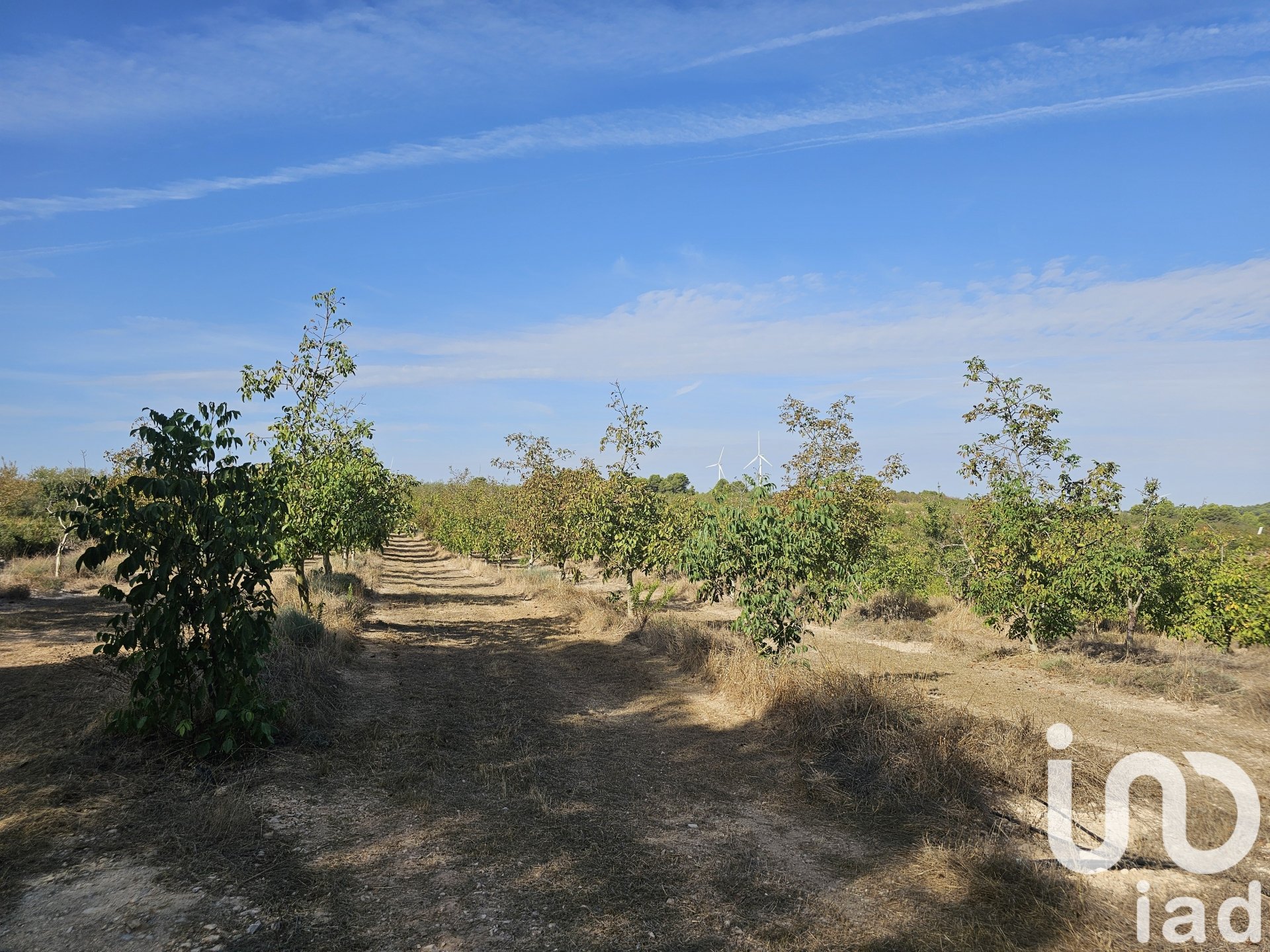 Kommersiell fastighet i Gandesa, Tarragona, Spanien Nr. 152996