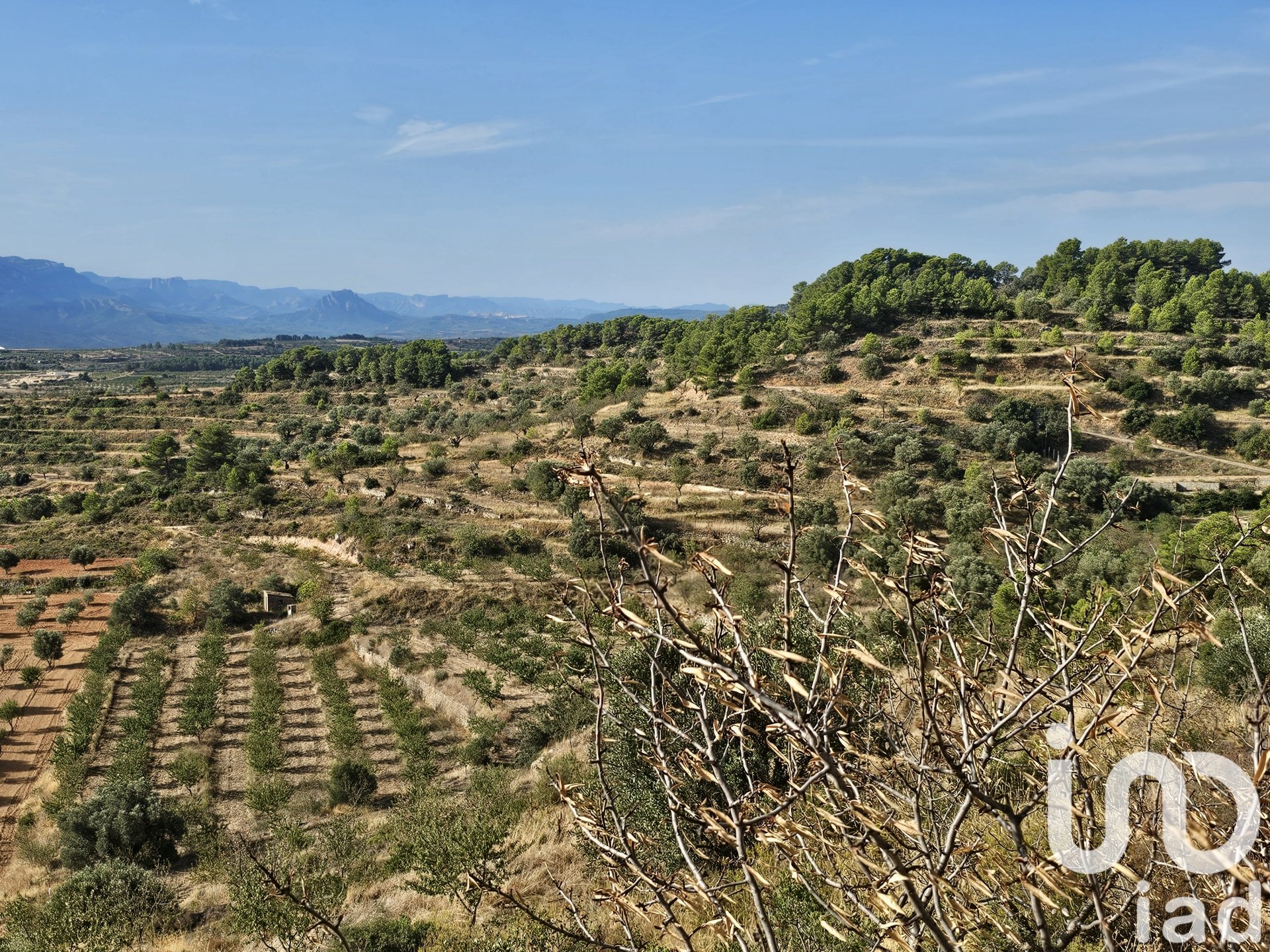Kommersiell fastighet i Gandesa, Tarragona, Spanien Nr. 152996