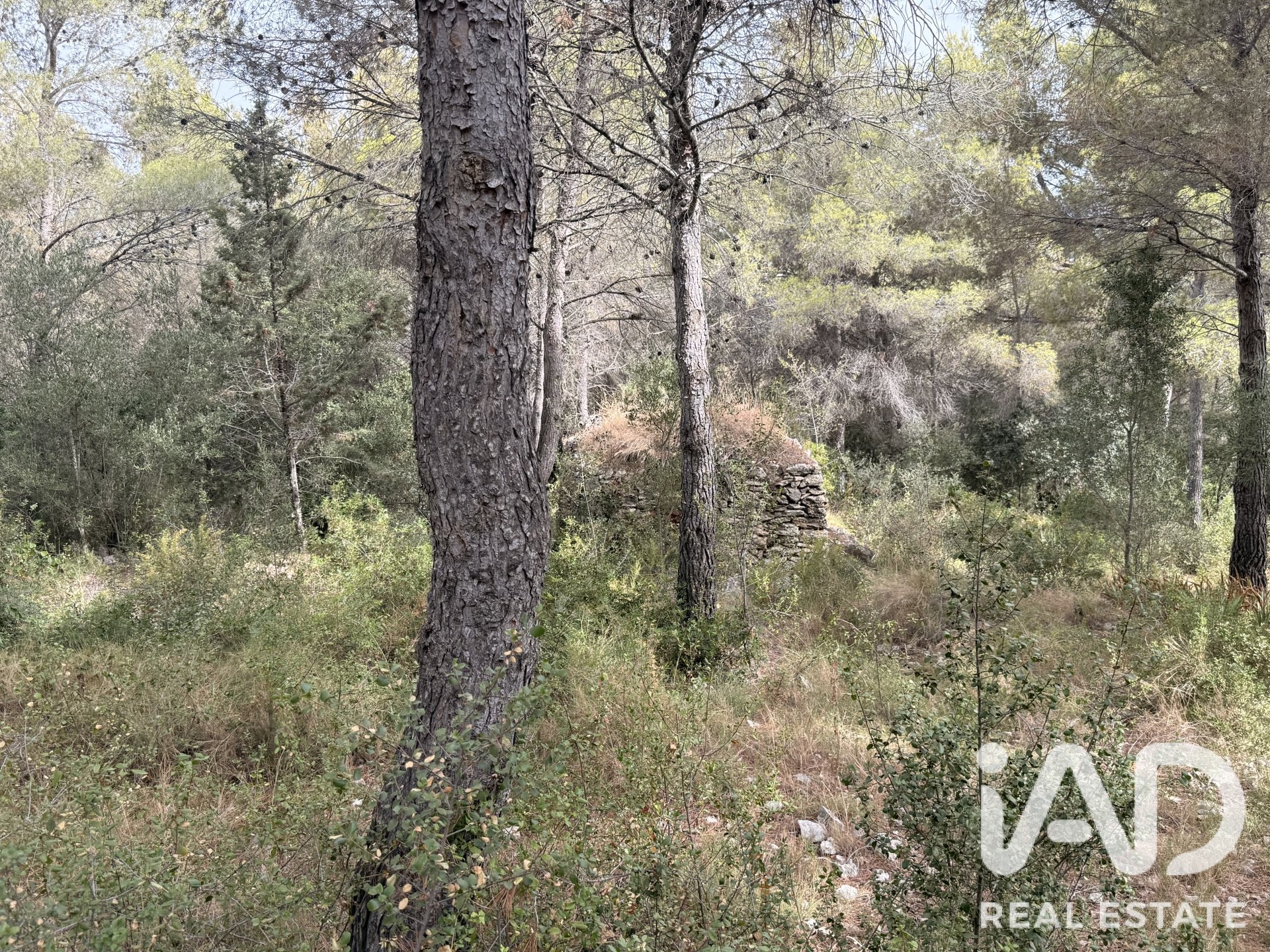 Terreno a Calafell, Tarragona, Spagna 1273 mq. N° 187806