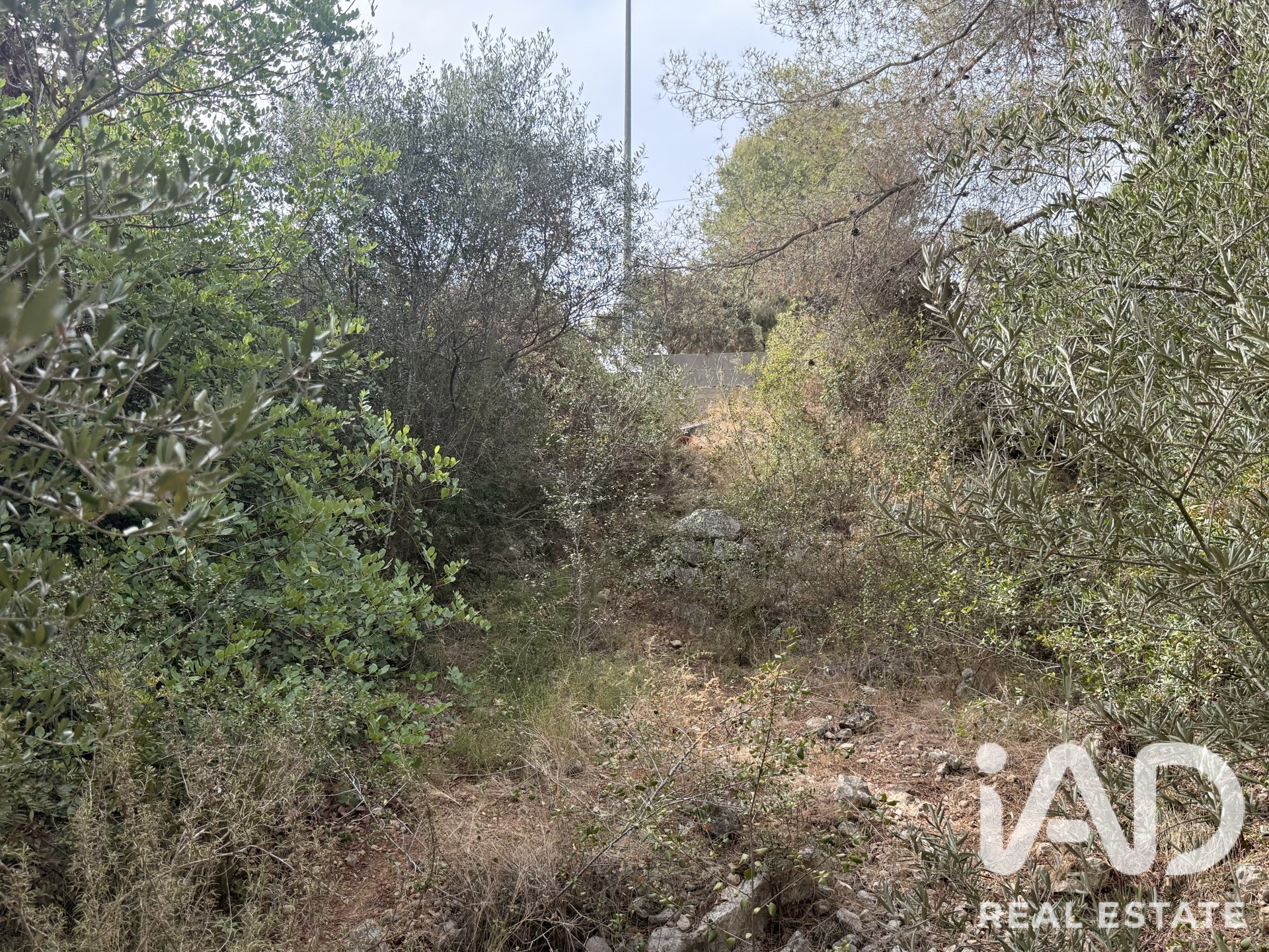 Terreno a Calafell, Tarragona, Spagna 1273 mq. N° 187806