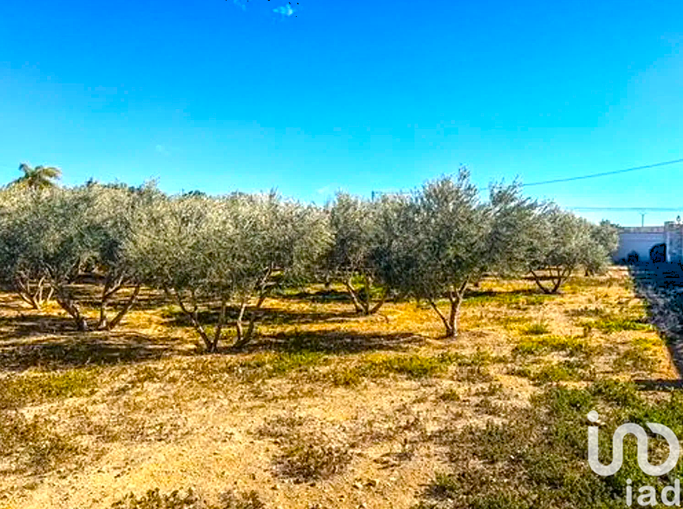 Māja Mutxamel, Alicante, Spānijā 9 istabas, 690 m2 Nr. 153752