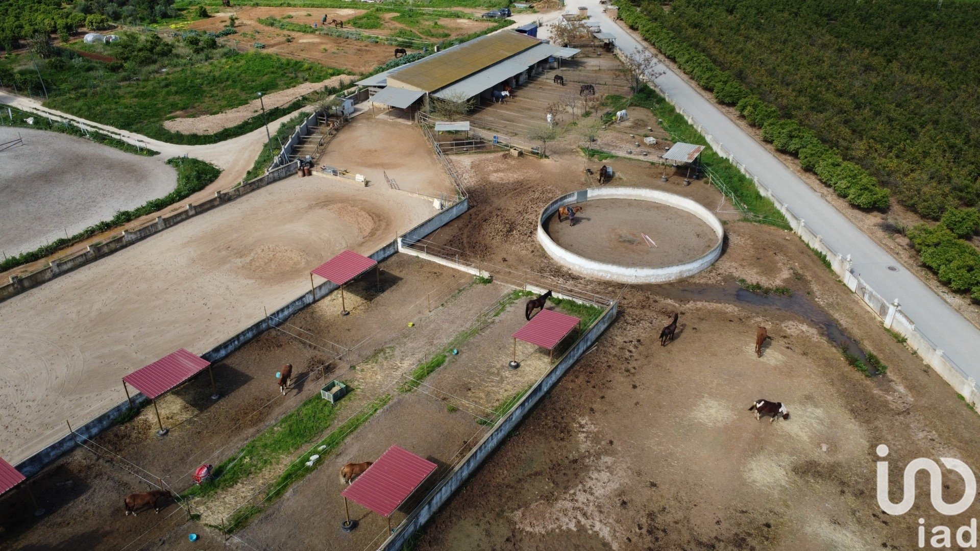 Hotelli Els Poblets, Alicante, Espanja 14 makuuhuonetta, 14637 m2 No. 153443