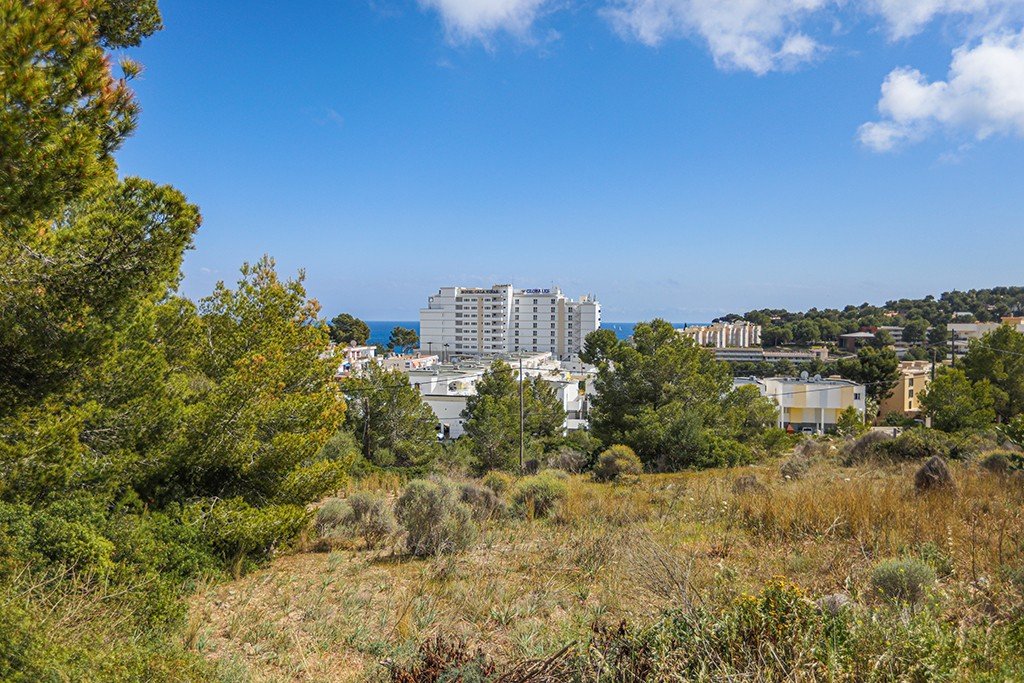 Parcela en Mallorca, España No. 148045