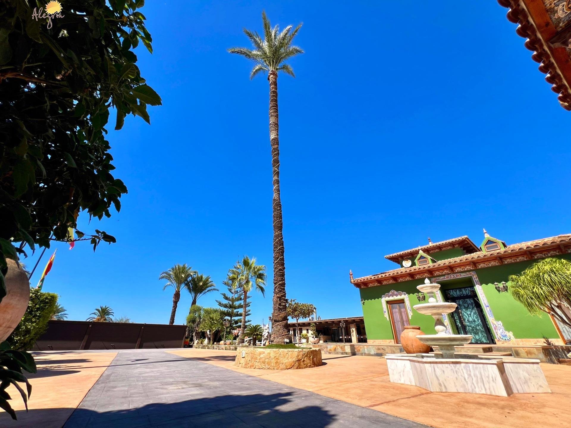 Villa i Almoradi, Alicante, Spanien 4 sovrum, 493 kvm. Nr. 196652