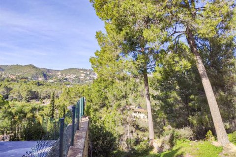 Land in Mallorca, Spanien Nr. 147819