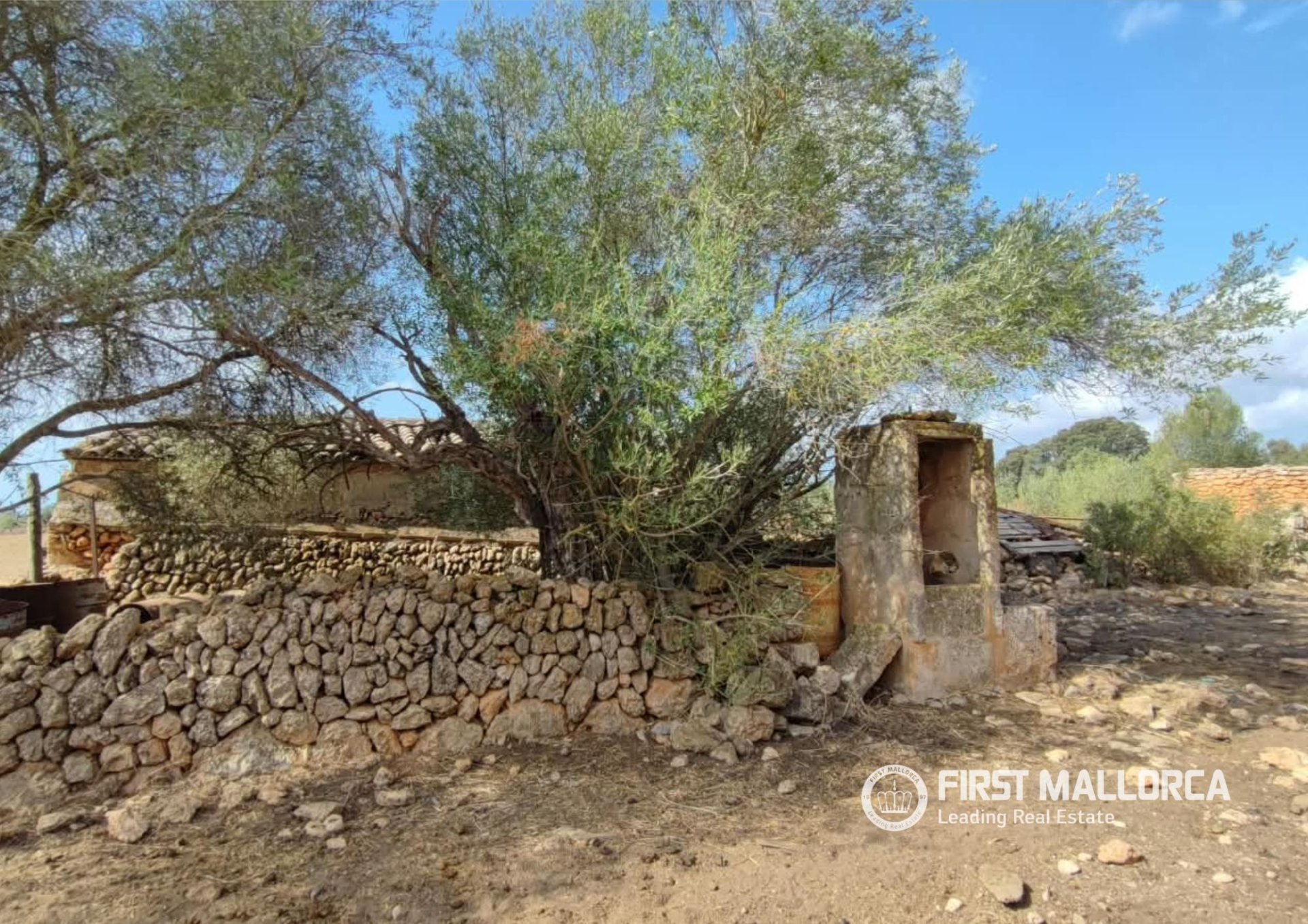 Działka w Llucmajor, Mallorca, Hiszpania 59844 mkw. nr 195949