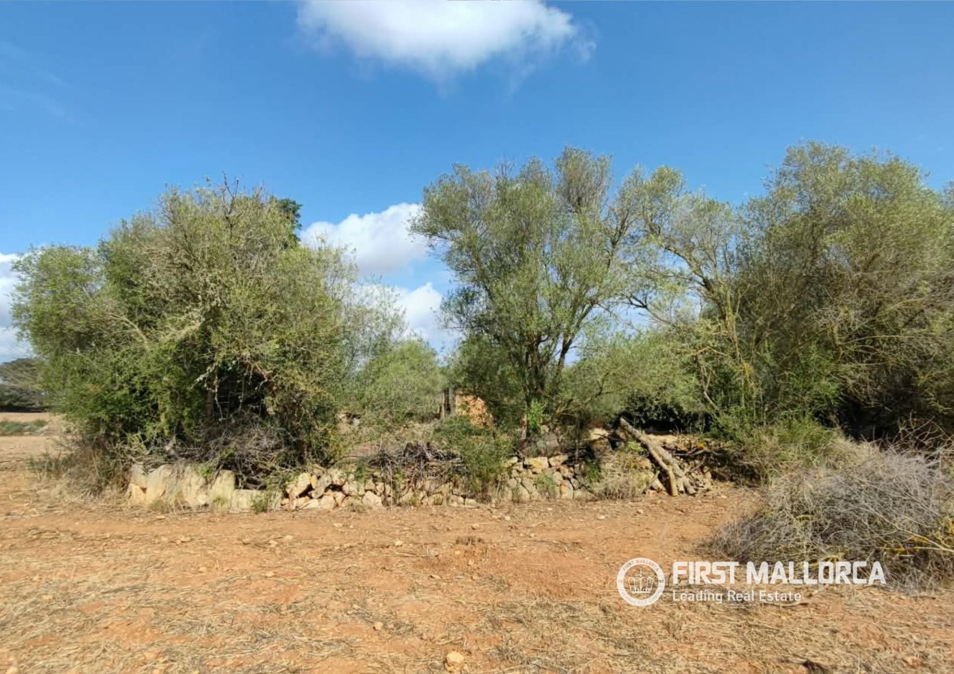 Działka w Llucmajor, Mallorca, Hiszpania 59844 mkw. nr 195949