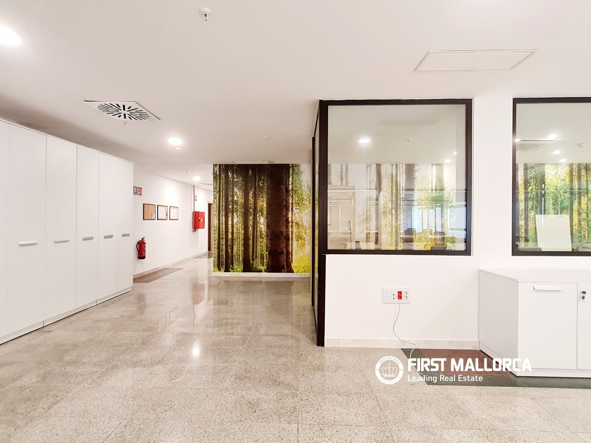 Komerciāls īpašums Palma de Majorca, Mallorca, Spānijā 427 m2 Nr. 195951