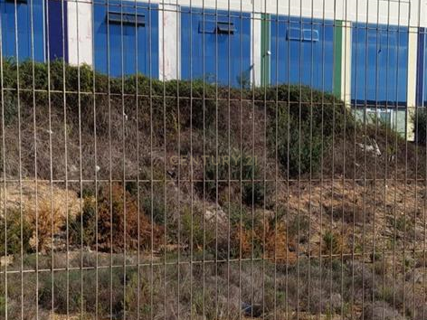 Warehouse in Vilanova i la Geltru, Barcelona, Spain 290 sq.m. No. 191238