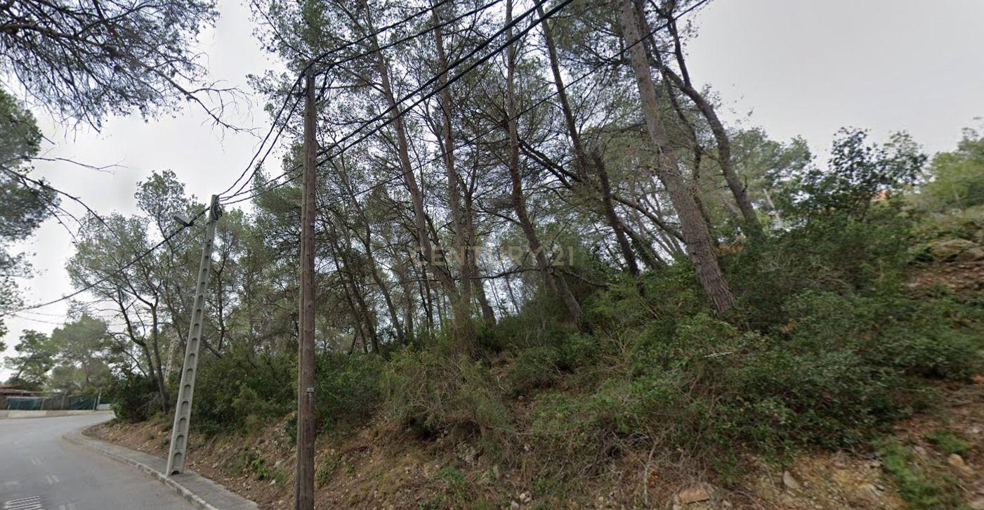 Land plot in Olivella, Barcelona, Spain No. 191237