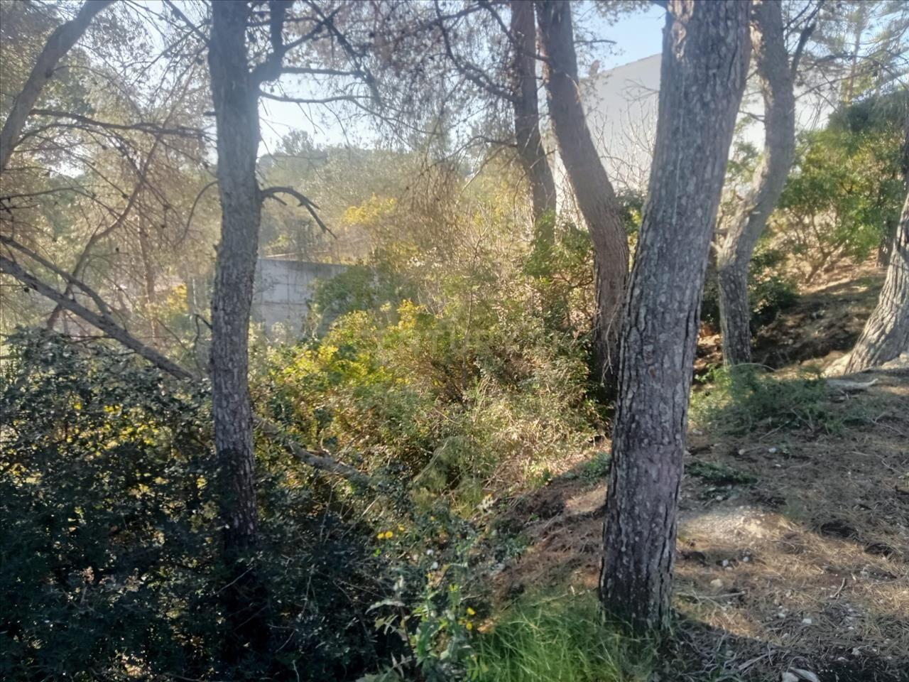 Land plot in Olivella, Barcelona, Spain No. 191237