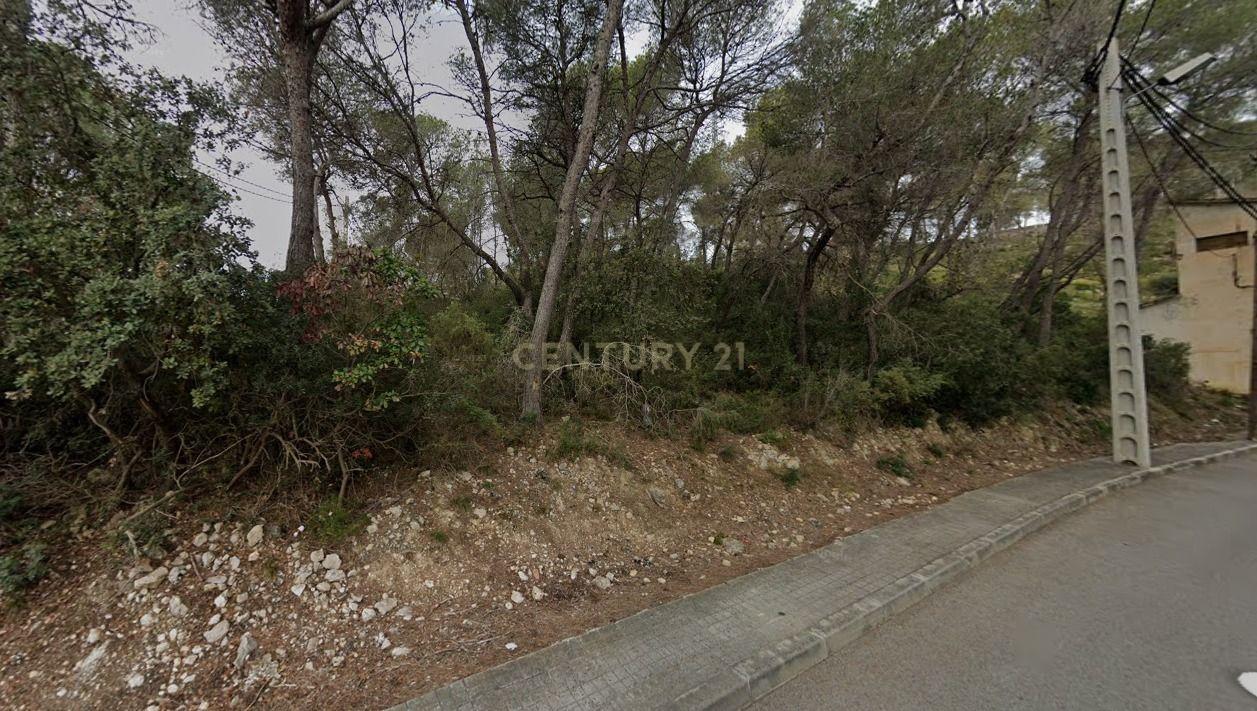 Land plot in Olivella, Barcelona, Spain No. 191237