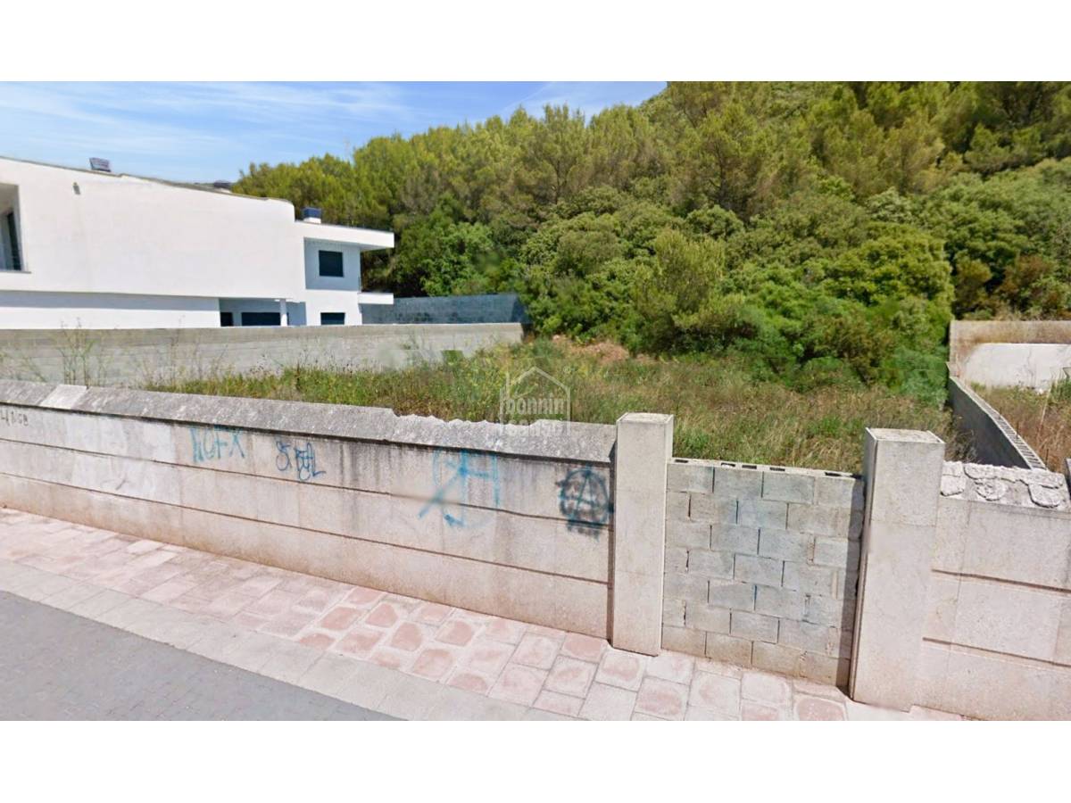 Land plot in Ferreries, Menorca, Spain No. 65534