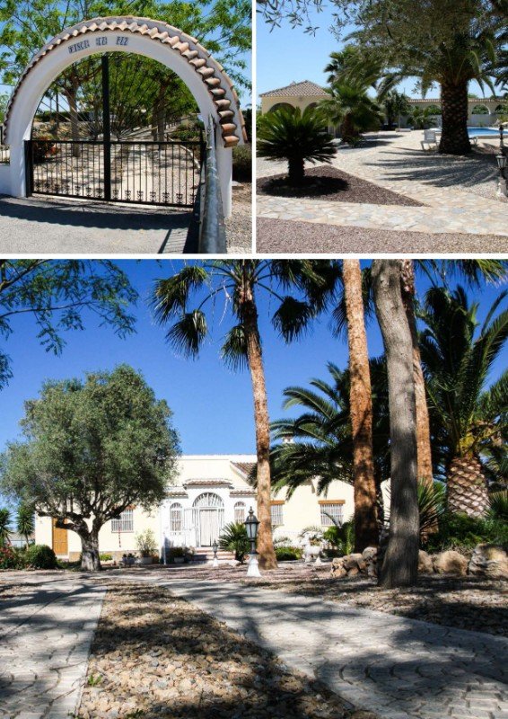 Finca à Daya Vieja, Alicante, Espagne 6 chambres, 246 m2 No. 144769