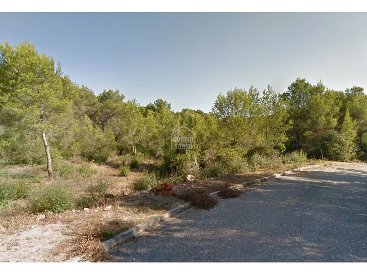 Land in Es Mercadal, Menorca, Spanien Nr. 74802