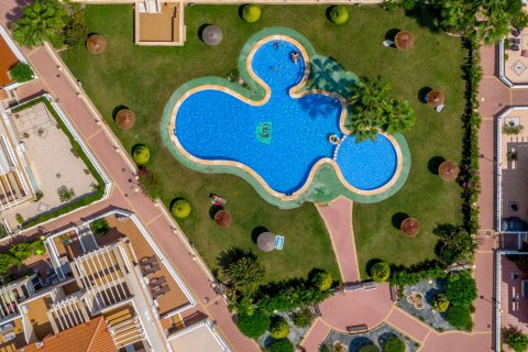 Bungalowi Punta Prima, Alicante, Espanja 1 makuuhuone, 55 m2 No. 168561