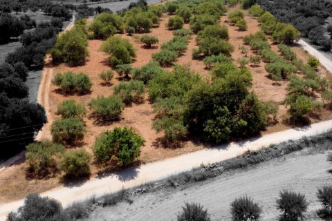 Tomt i Alcover, Tarragona, Spanien 11201 kvm. Nr. 185807