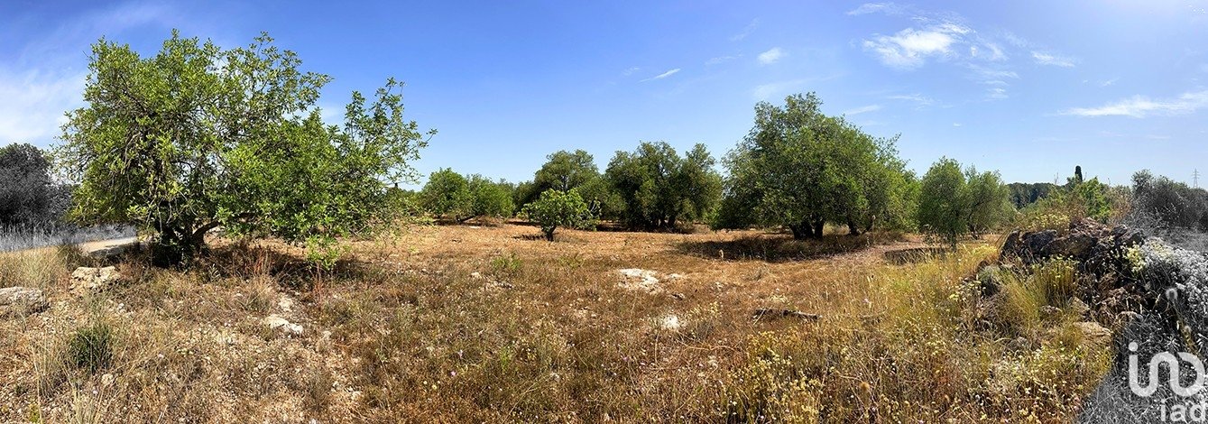 Земельный участок в Альковер, Таррагона, Испания 11201м2 №185807