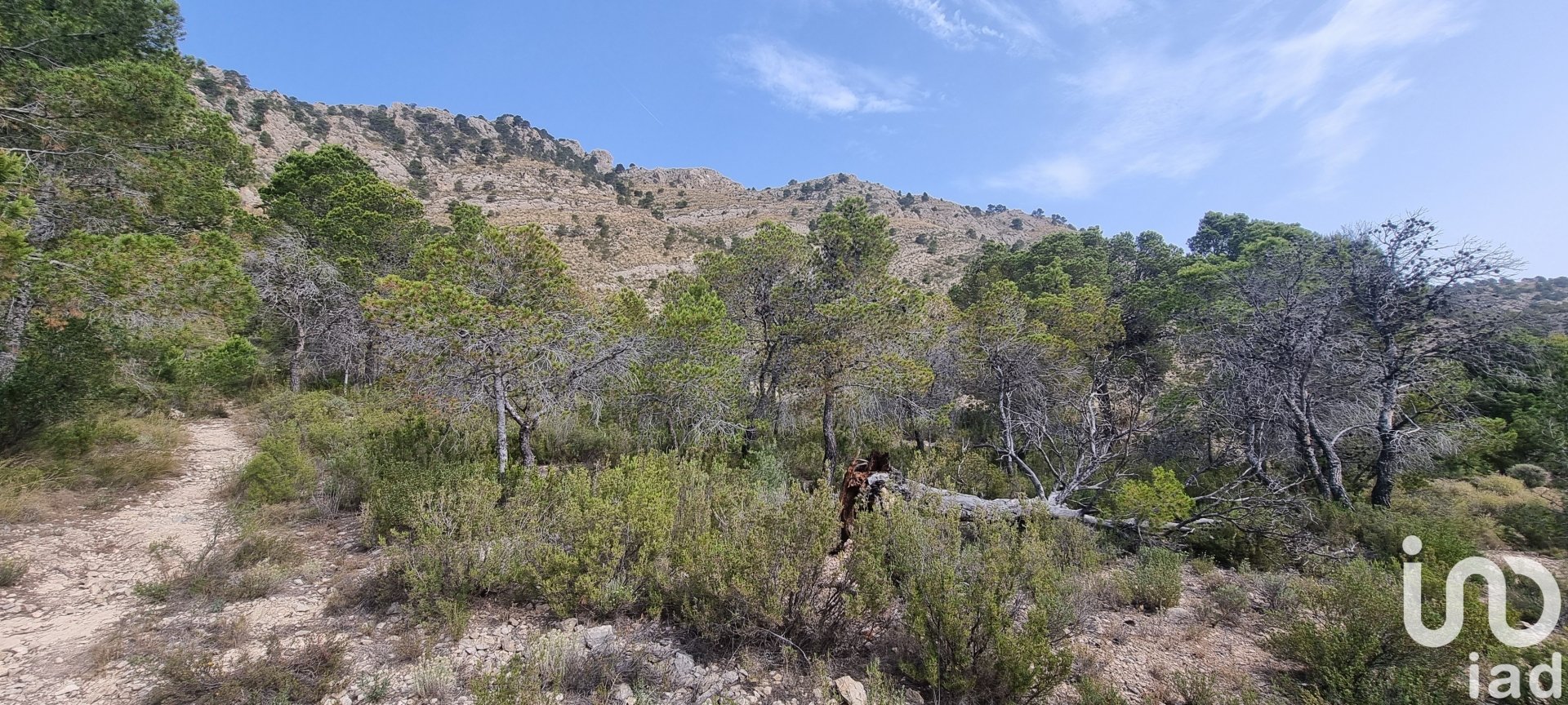 Zemes gabals Jijona, Alicante, Spānijā 88778 m2 Nr. 185811