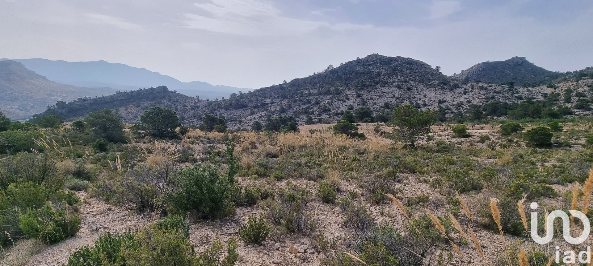 Zemes gabals Jijona, Alicante, Spānijā 88778 m2 Nr. 185811