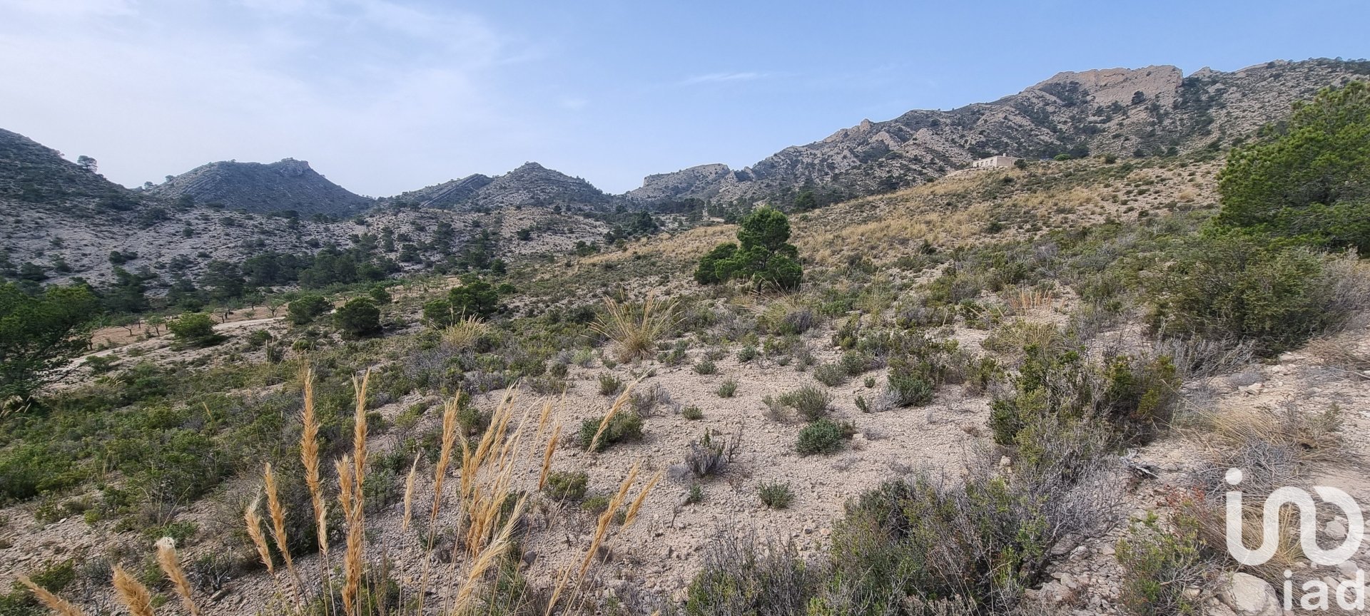 Zemes gabals Jijona, Alicante, Spānijā 88778 m2 Nr. 185811
