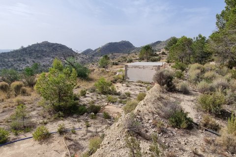 Tomt i Jijona, Alicante, Spanien 88778 kvm. Nr. 185811