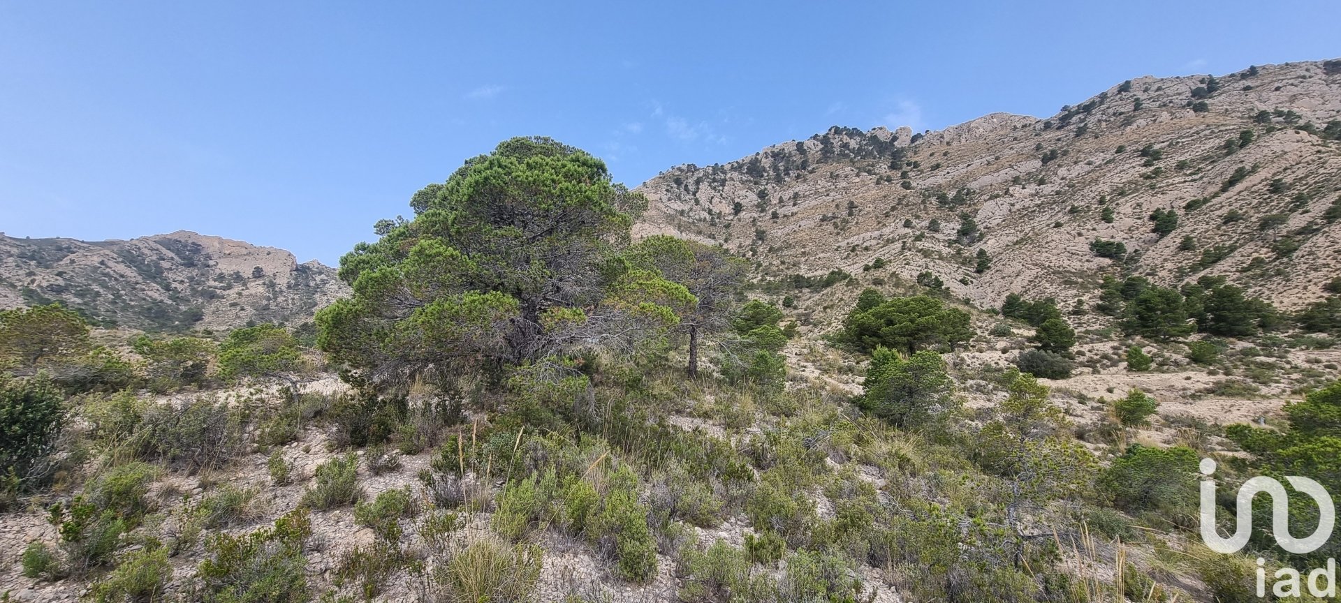 Zemes gabals Jijona, Alicante, Spānijā 88778 m2 Nr. 185811