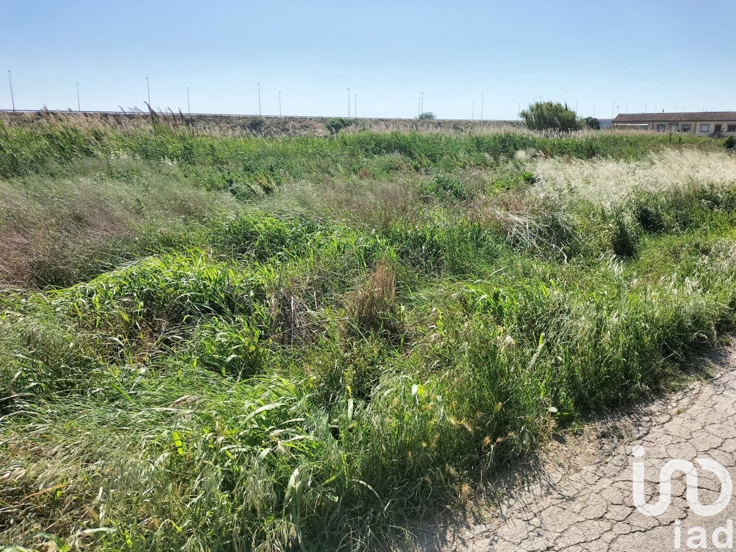Land plot in Movera, Zaragoza, Spain 3810 sq.m. No. 185875