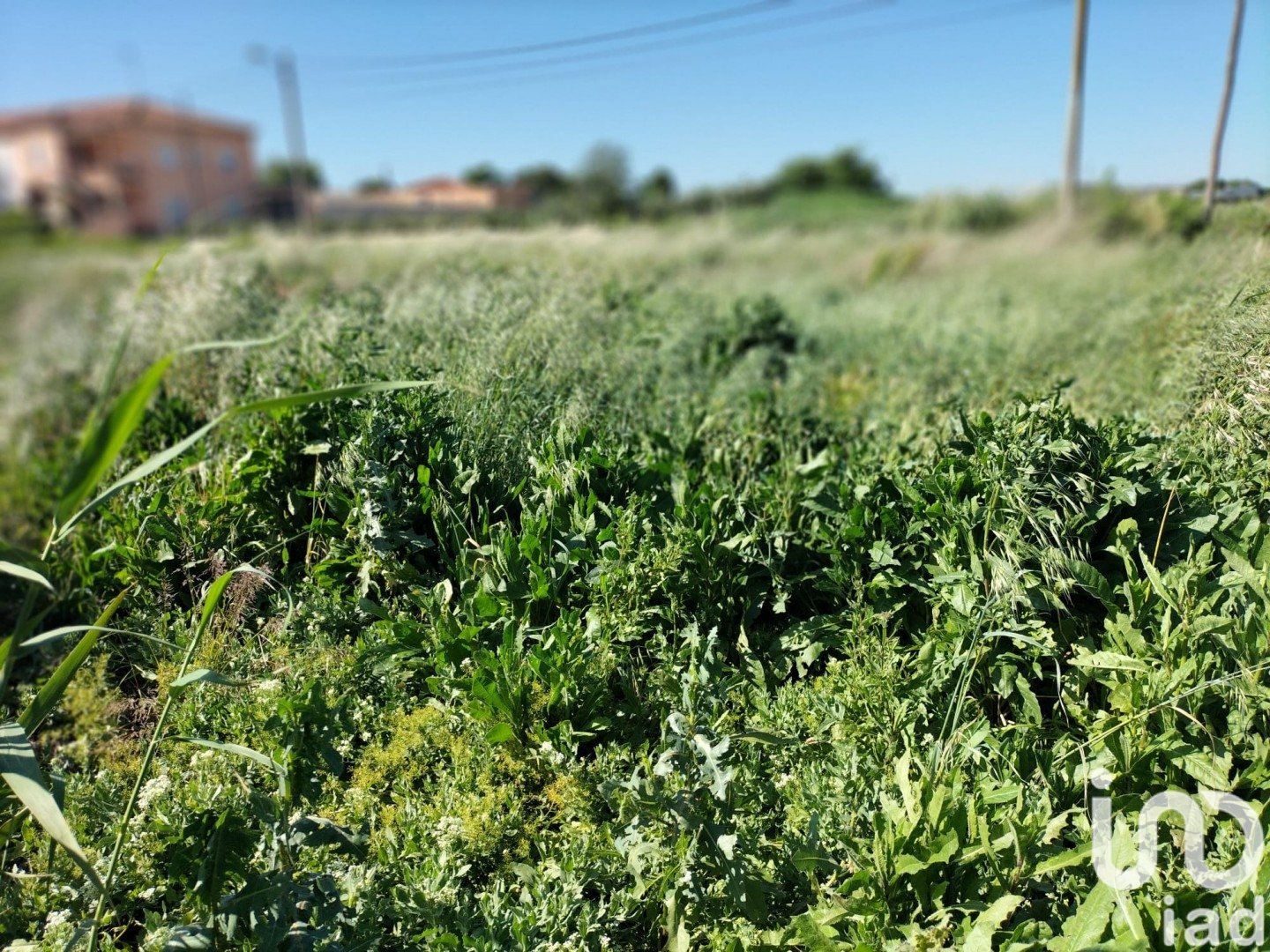 Land plot in Movera, Zaragoza, Spain 3810 sq.m. No. 185875