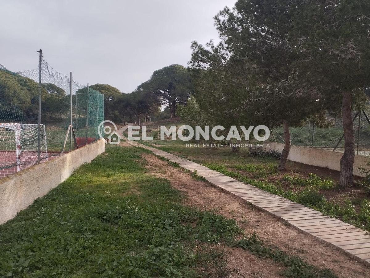 Appartamento a Guardamar del Segura, Alicante, Spagna 2 camere da letto, 36 mq. N° 183819