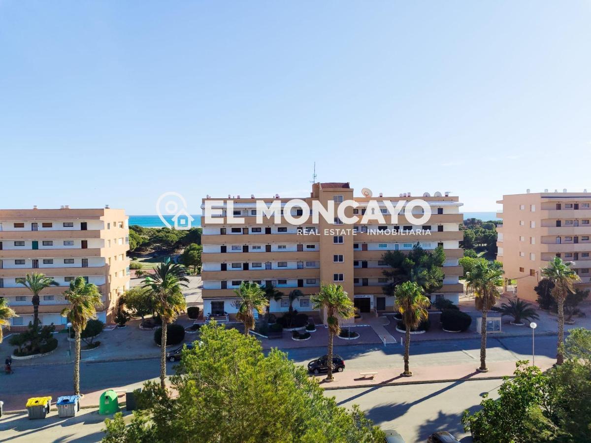 Appartamento a Guardamar del Segura, Alicante, Spagna 2 camere da letto, 36 mq. N° 183819