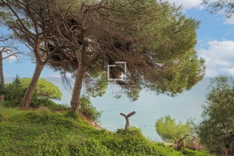 Land plot in Arenys de Mar, Barcelona, Spain No. 192786