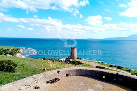 Land in Tarifa, Cadiz, Spanien 117543 m2 Nr. 158577