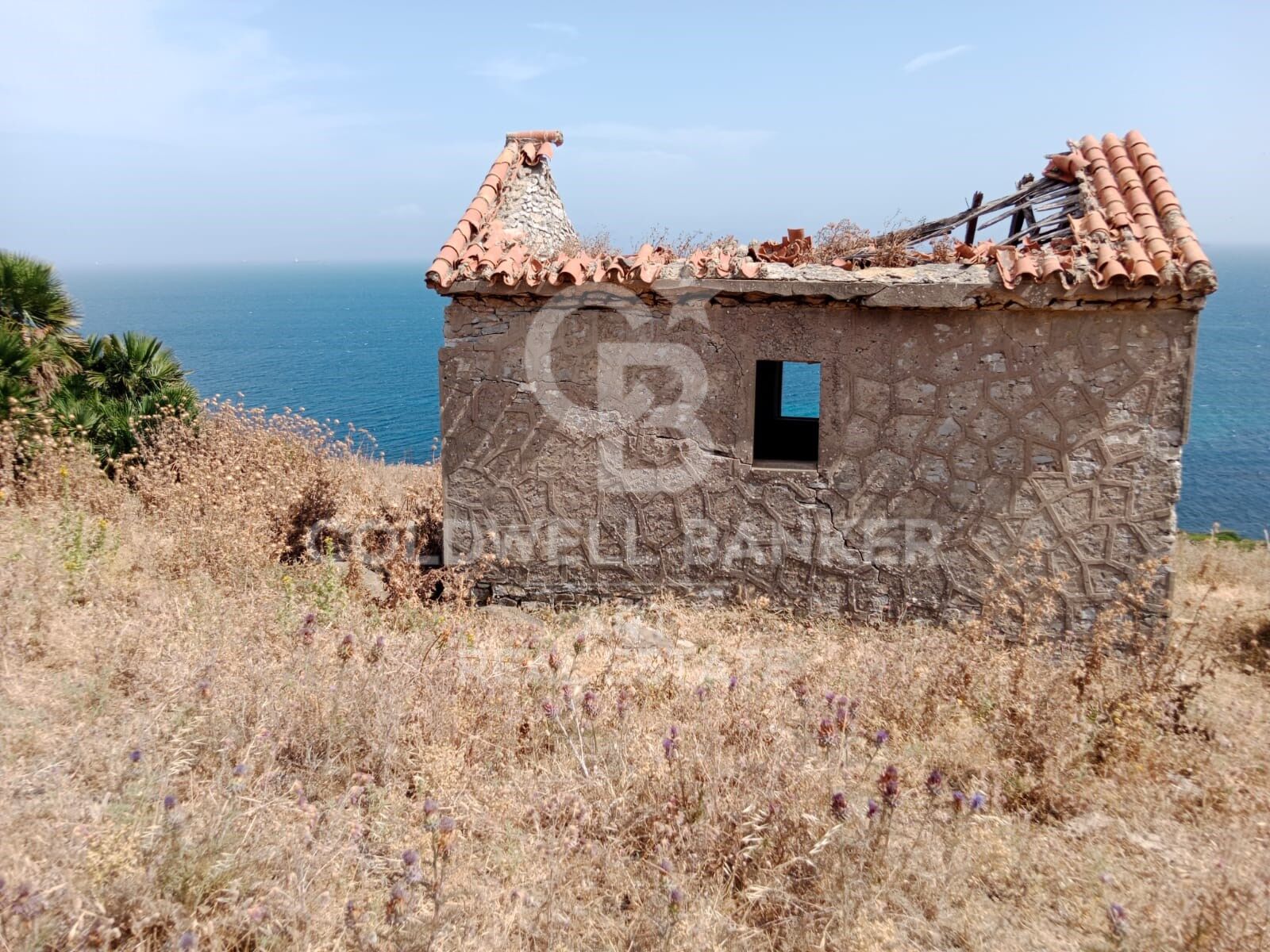 Land plot in Tarifa, Cadiz, Spain 117543 sq.m. No. 158577