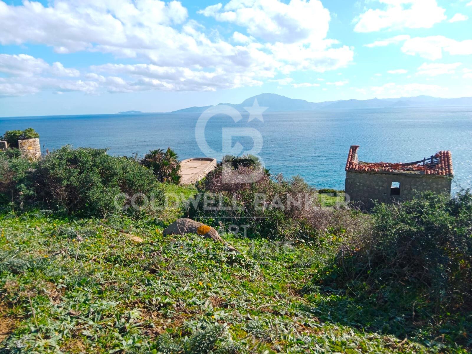 Land plot in Tarifa, Cadiz, Spain 117543 sq.m. No. 158577