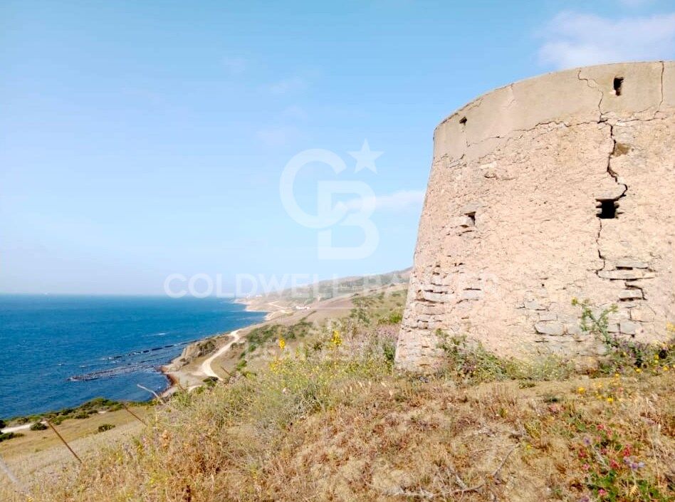 Land plot in Tarifa, Cadiz, Spain 117543 sq.m. No. 158577