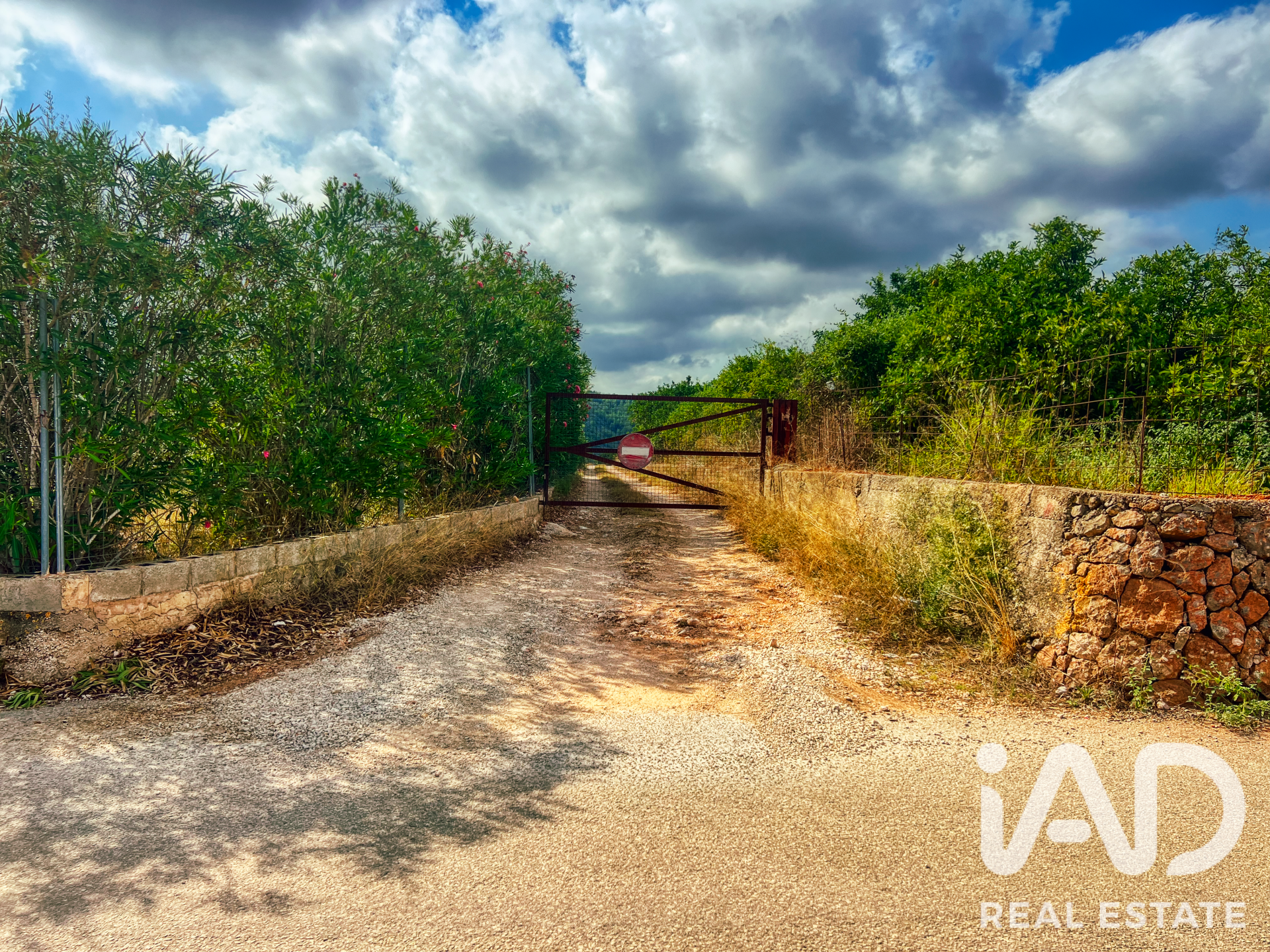 Commercial property in Oliva, Valencia, Spain No. 193500