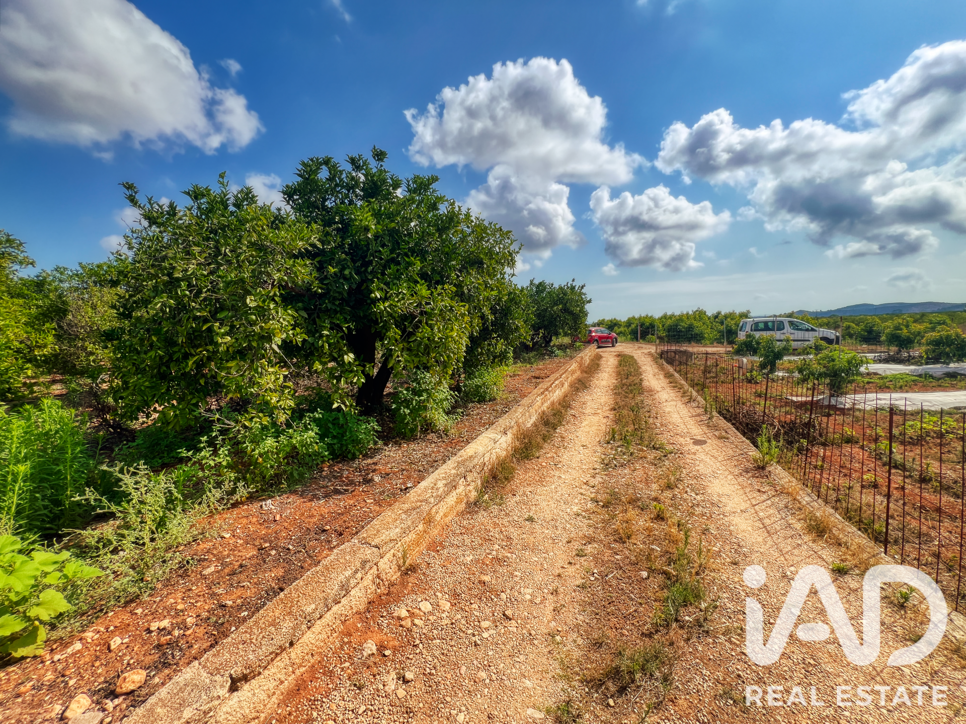 Commercial property in Oliva, Valencia, Spain No. 193500