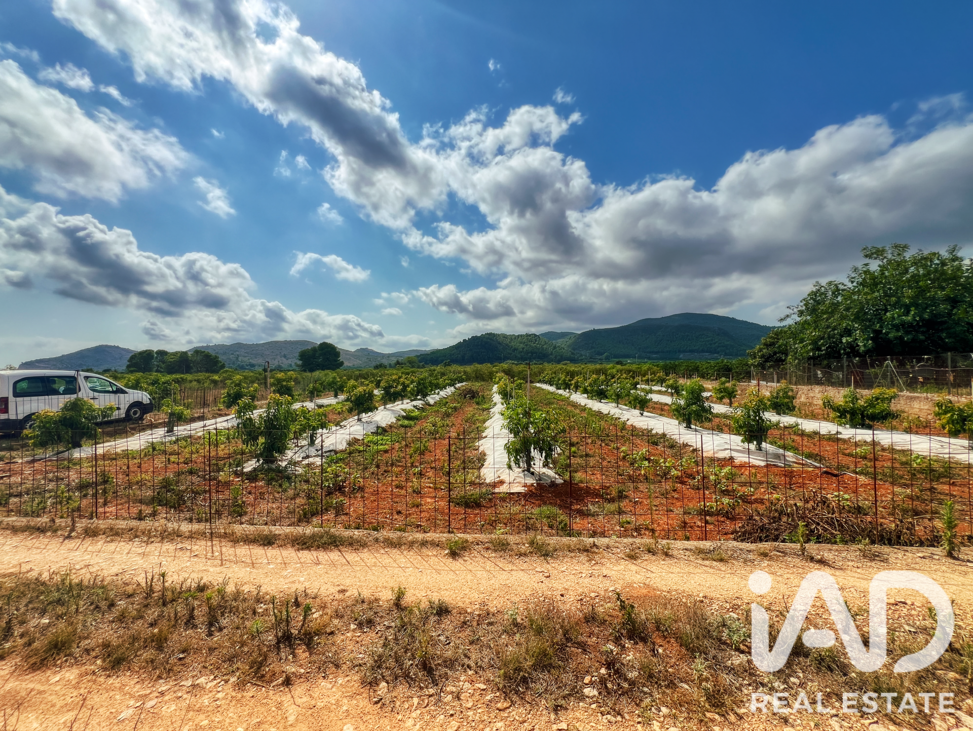Commercial property in Oliva, Valencia, Spain No. 193500