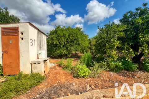Commercial property in Oliva, Valencia, Spain No. 193500
